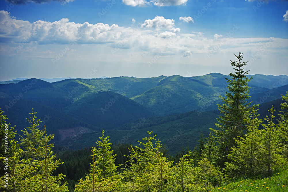 Forested mountains in a scenic landscape view