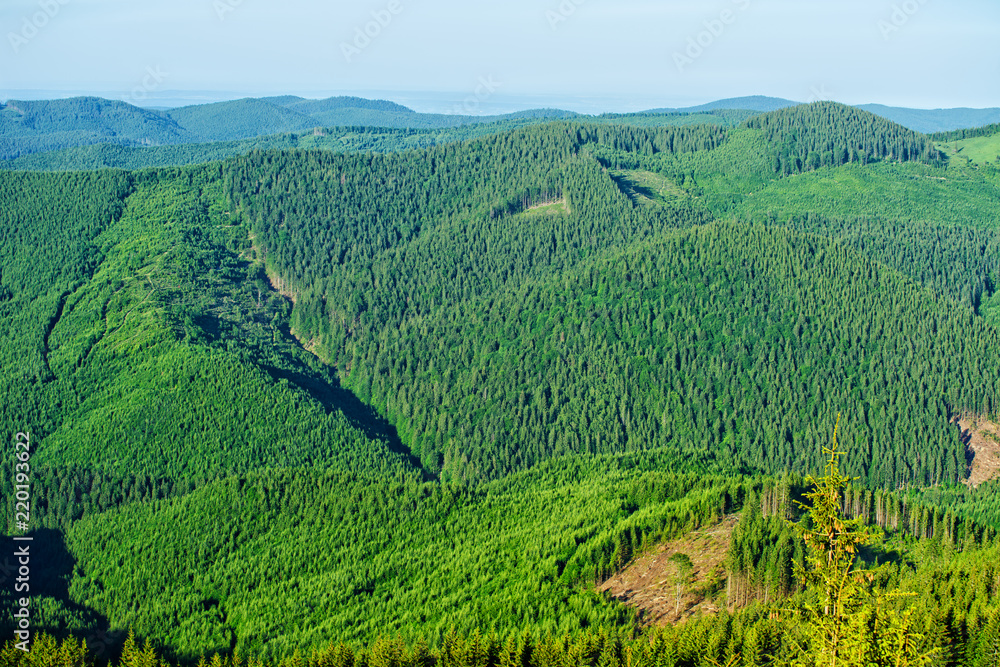 Fototapeta premium Forested mountains in a scenic landscape view