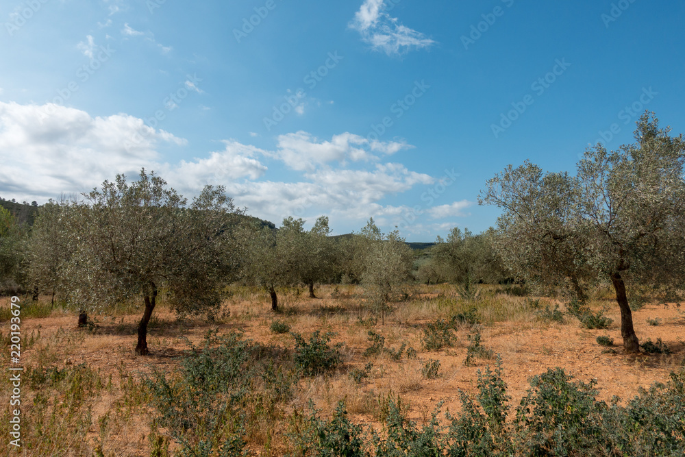 The road of the via augusta under the blue sky, castellon