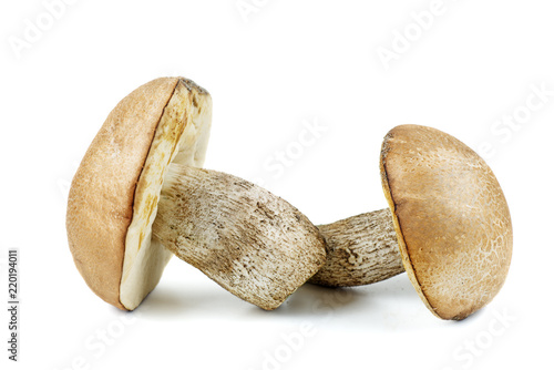 Two brown cap boletus isolated on white background