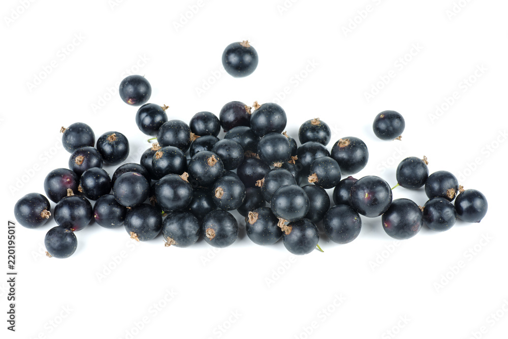 Black currants isolated on white background Black currants isolated on white background