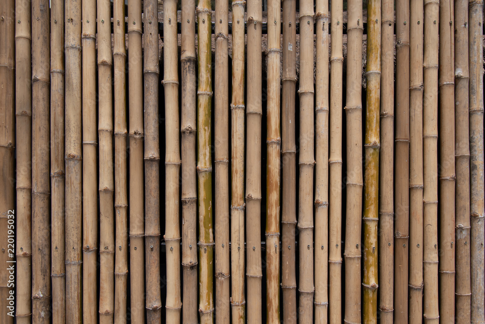Fototapeta premium Bambusowy wzór tła ściany