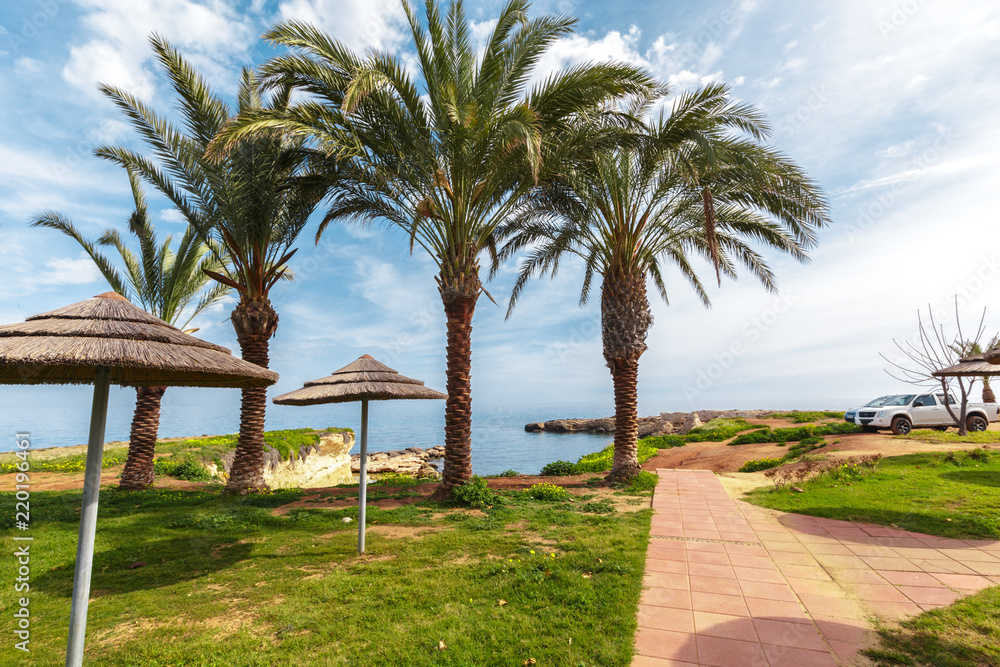 Fototapeta premium Tropical coast, beach