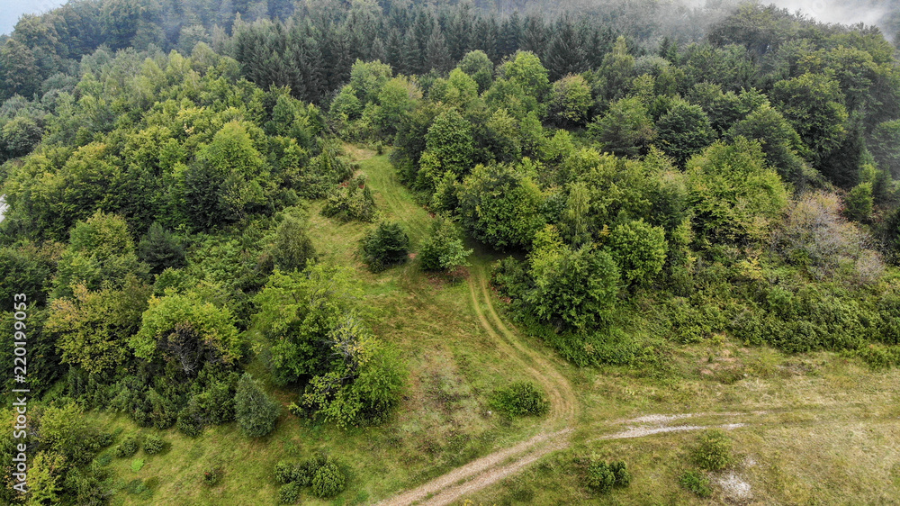 Aerial view of mountain road in the fog. First signs of autumn, yellow ends on leaves. Aerial view of mountain road in the fog. First signs of autumn, yellow ends on leaves.