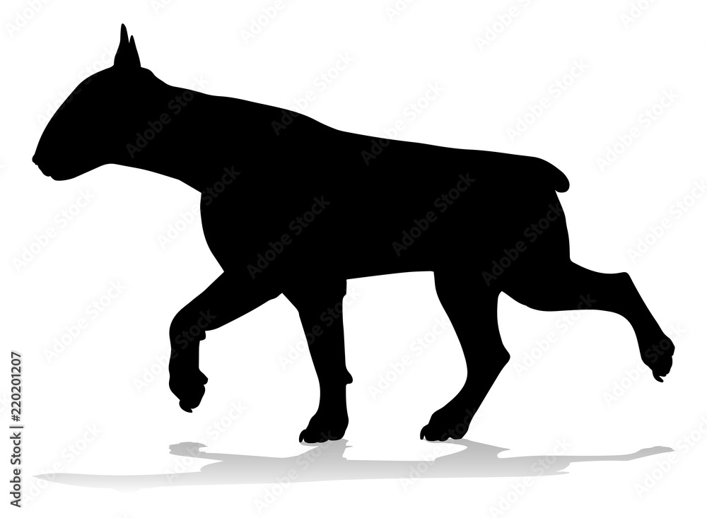 Fototapeta premium Dog Silhouette Pet Animal