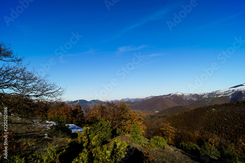 Panoramica a Monte Alago