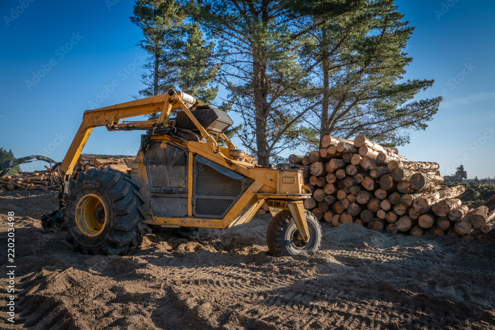 Wheel log loader parked by small log pile at workplace in pine forest Wheel log loader parked by small log pile at workplace in pine forest