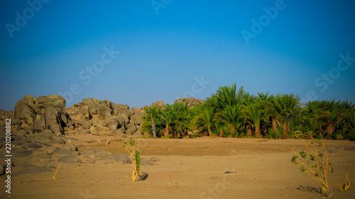 Oasis near Third Cataract of Nile near Tombos, Sudan photo