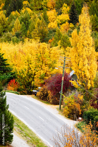 Arrowtown Road