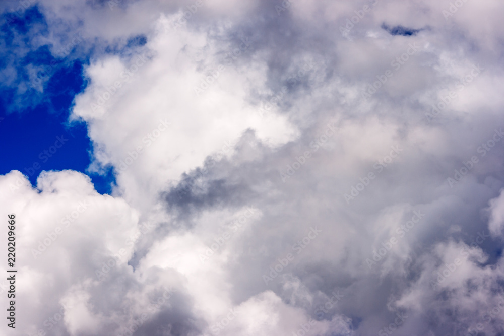 Obraz premium lush white cumulus clouds swim across the blue sky