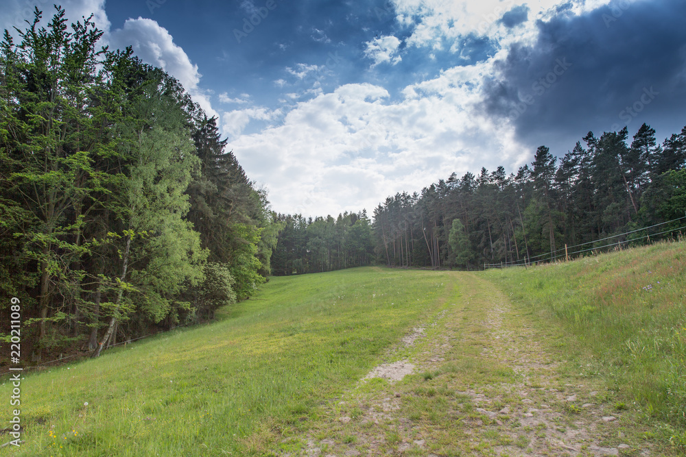 Obraz premium Waldrand