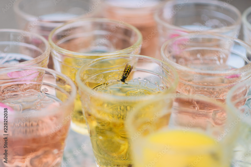Summer, sweet drinks with wasp in the glass Summer, sweet drinks with wasp in the glass