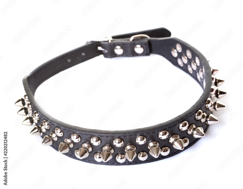 spike collar for dog spike collar for dog