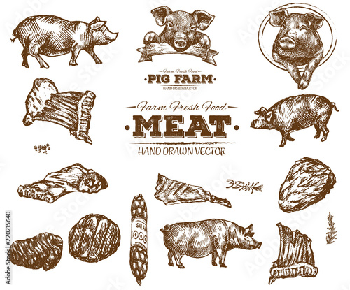 Hand drawn fresh farm meat bbq sketch