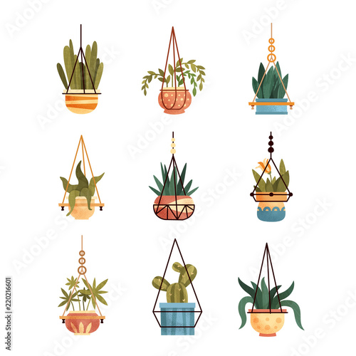 Green hanging indoor house plants set, elements for decoration home or office interior vector Illustrations on a white backgroun