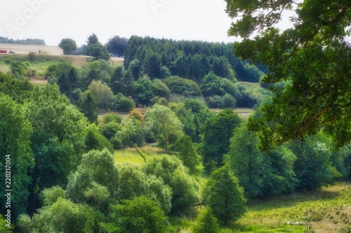 Obraz na płótnie Green valley w salonie