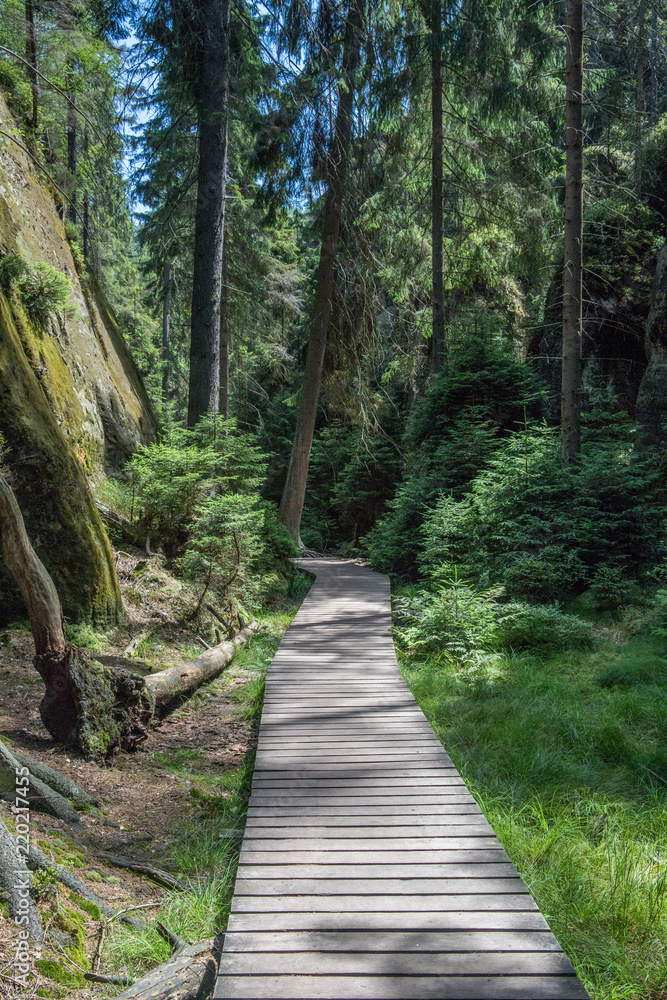 Wooden path in Adrspach National Park, Czech Republic Wooden path in Adrspach National Park, Czech Republic