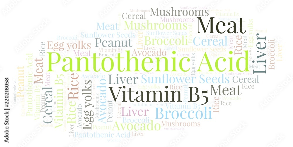 Fototapeta premium Pantothenic Acid word cloud.