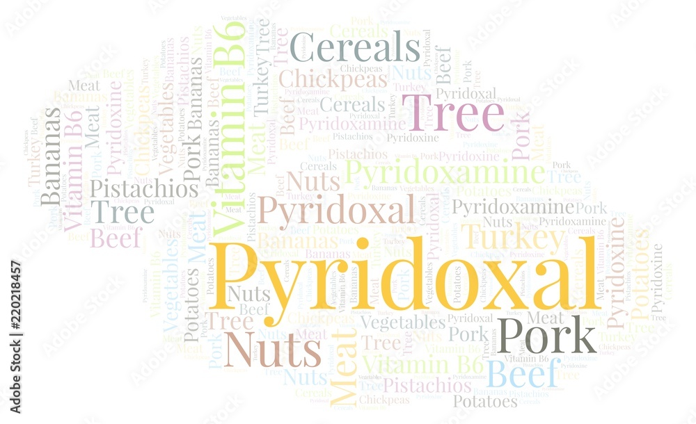 Fototapeta premium Pyridoxal word cloud.