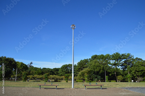 青空と林を背景にしたベンチのある公園の風景