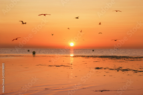 Seagulls over the Beach at Sunrise © Adriansart