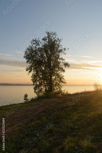 Tree beside lake in Votkinsk at sunset