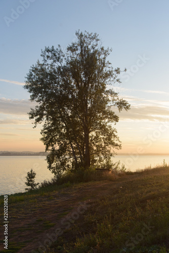 Tree beside lake in Votkinsk at sunset