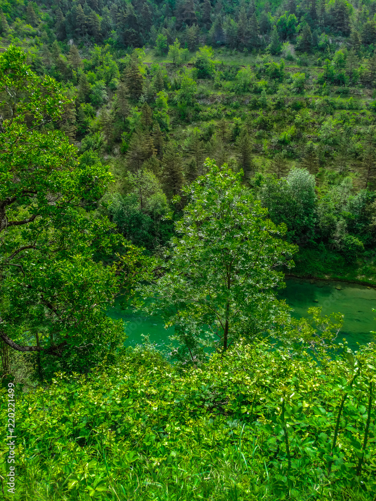 Gorges du Verdon river with green vegetation , Alpes de Haute Provence, France