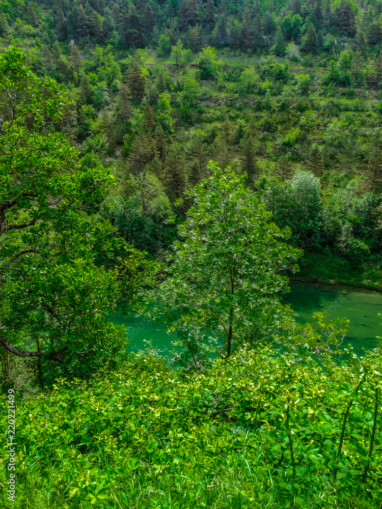Gorges du Verdon river with green vegetation , Alpes de Haute Provence, France Gorges du Verdon river with green vegetation , Alpes de Haute Provence, France