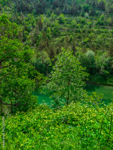Gorges du Verdon river with green vegetation , Alpes de Haute Provence, France