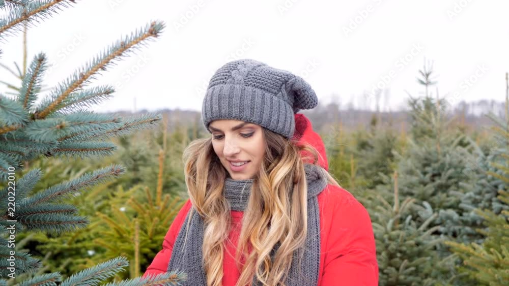 Man and woman looking for a christmas tree Man and woman looking for a christmas tree