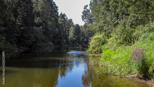 Summer landscape with river © Илья Смирнов