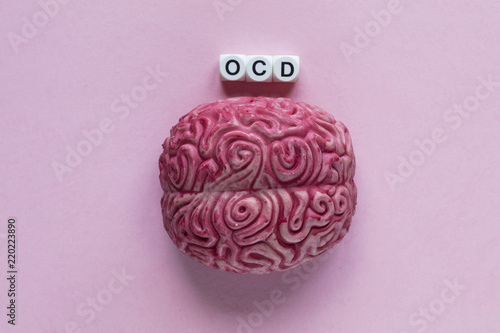 Human brain with the word OCD. Mental health concept photo