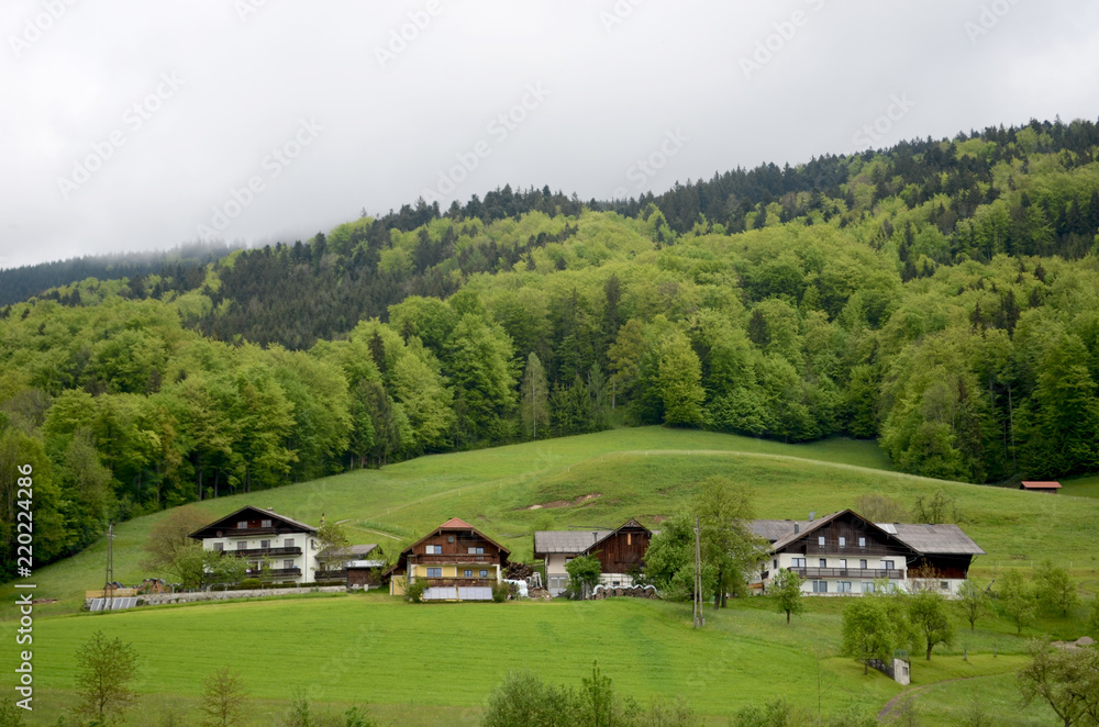 Some typical Austrian houses, three stories in height with wooden sloping roofs, are in the foot of the alps. The hills behind are lush and green, and covered in forest The sky is overcast.