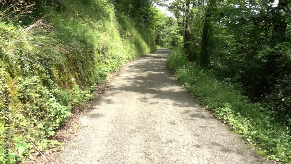 The way of santiago between valcarlos and roncesvalles The way of santiago between valcarlos and roncesvalles