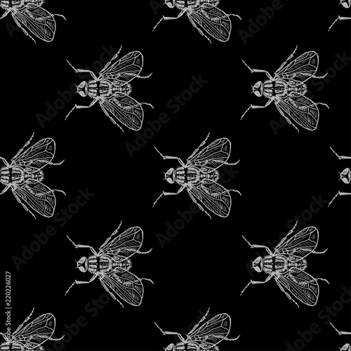 Fly grey on black vector seamless pattern