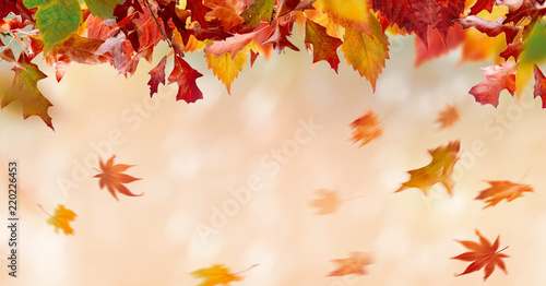Fallende Herbstblätter.