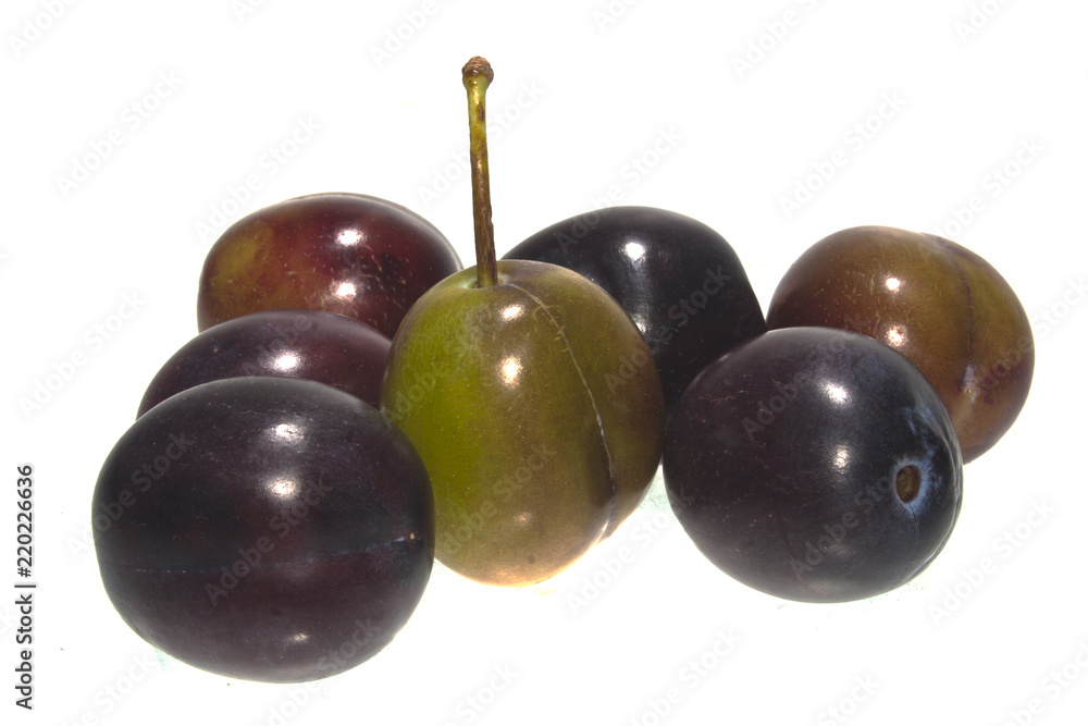 plum isolated on white background