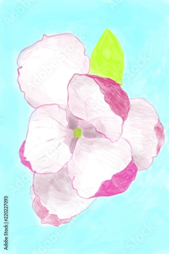 Digital painting of a pink magnolia, on blue background