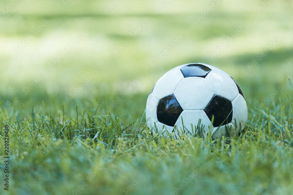 Fototapeta premium close-up view of leather soccer ball on green grass