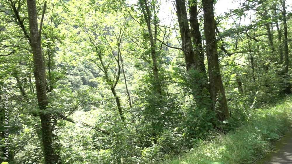 The way of santiago between valcarlos and roncesvalles The way of santiago between valcarlos and roncesvalles