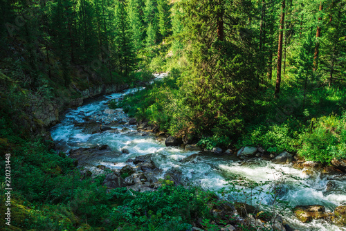 Fast serpentine stream in wild mountain creek in valley. Stones and boulders in water. Atmospheric green landscape with brook, rich vegetation, forest. Majestic nature.