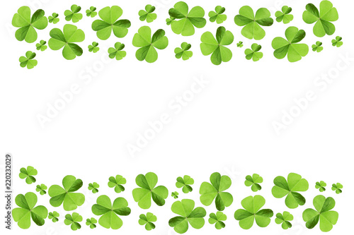 clover leaf on white background with coppy space