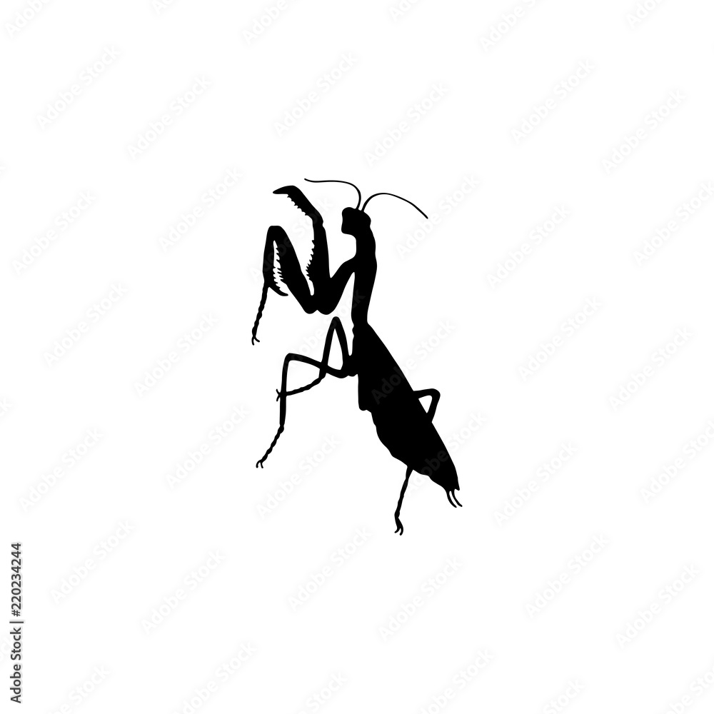 silhouette of mantis illustration
