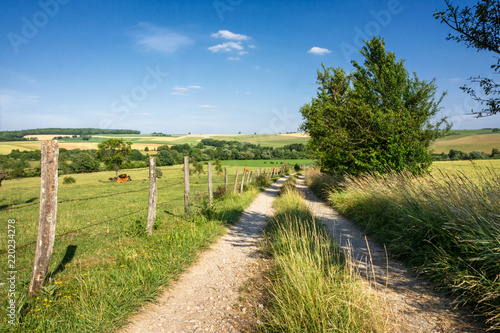 Fotografi Landschaft bei Fénétrange, Moselle im Sommer mit Feldweg und Weide