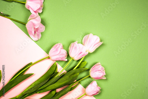 Fototapeta Naklejka Na Ścianę i Meble -  spring flowers banner - bunch of pink tulip flowers on blue sky background.