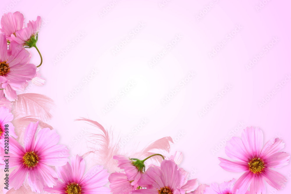 pink flower background for cosmetics aromatic spa health nature concept background