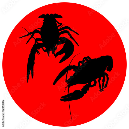 Crayfish icon. River lobster, langoustine or crustacean delicacies isolated on white background. Seafood design. Vector illustration