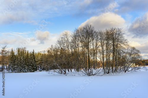 Wallpaper Mural Frozen big pond in Catherine park at Tsarskoe Selo in winter. Pushkin. Saint Petersburg. Russia Torontodigital.ca
