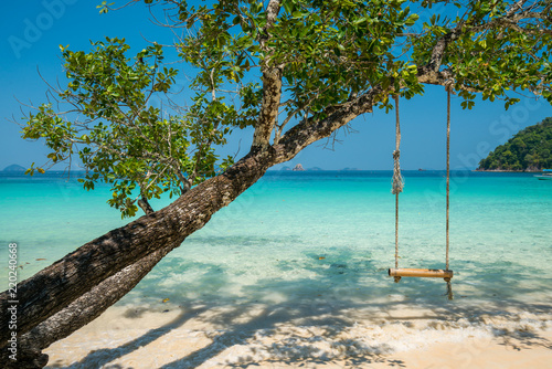 swing hang on big tree over beach sea © happystock